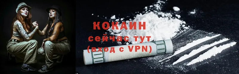 Cocaine Fish Scale  Ермолино 